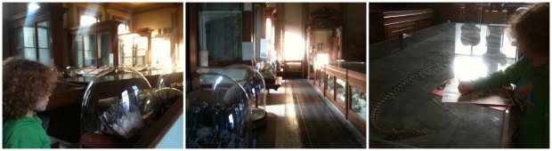 Haarlem, Teylers Museum, speurtocht