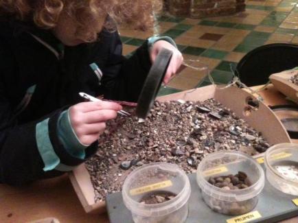 Archeologisch museum Haarlem